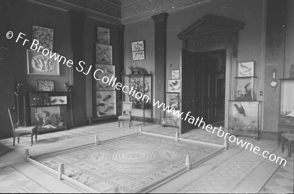 BALLYFIN HOUSE ENTRANCE HALL